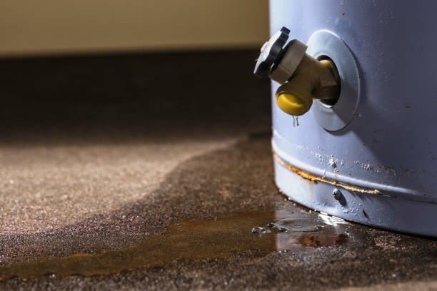 Best Carpet water damage restoration  in Golden Meadow, LA