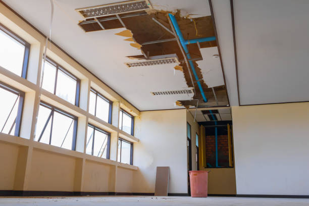 Best Local water damage restoration  in Golden Meadow, LA