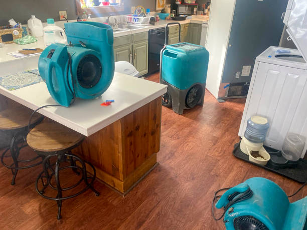 Best Fire Damage Restoration  in Golden Meadow, LA
