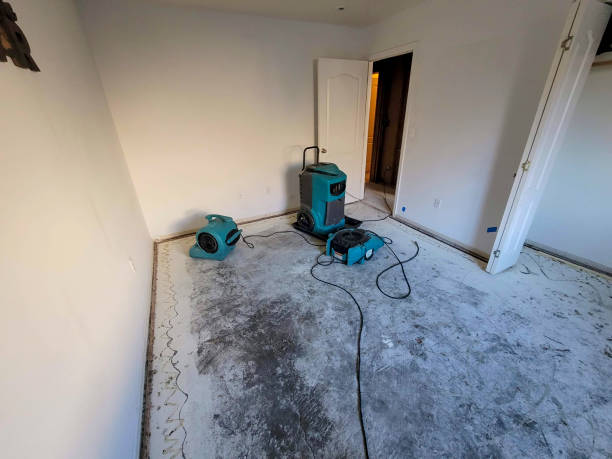Best Water damage restoration near me  in Golden Meadow, LA