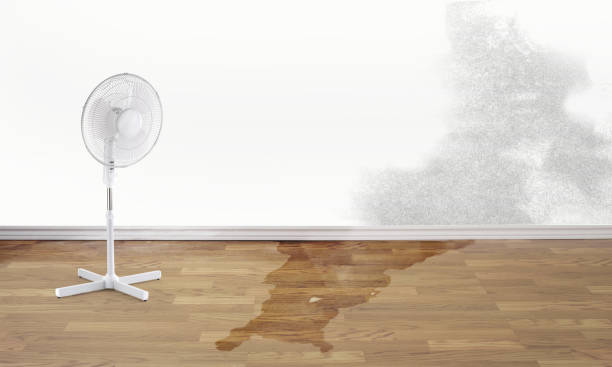 Best Sewage cleanup and water damage restoration  in Golden Meadow, LA