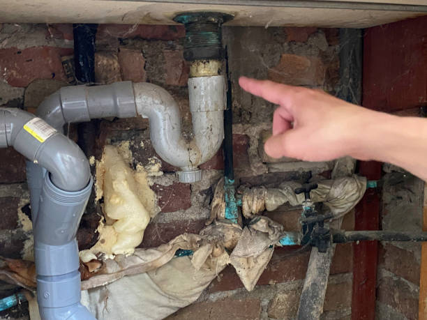 Best Flooded house restoration  in Golden Meadow, LA