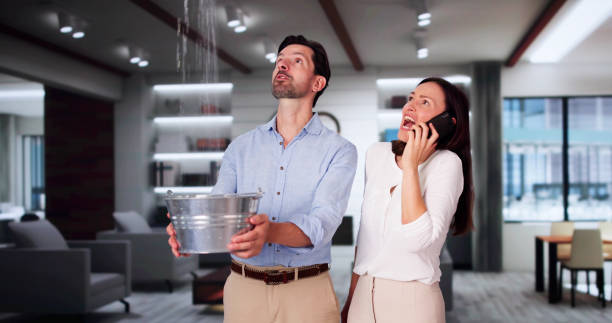 Best Mold removal after water damage  in Golden Meadow, LA
